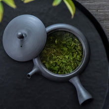 Load image into Gallery viewer, Gyokuko Ultra-flat kyusu (kiwaha special order product)