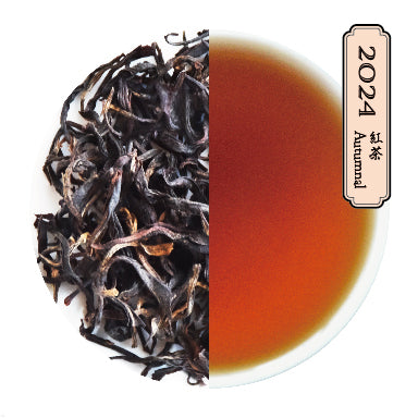 ハサマ紅茶 Kyoukan Blacktea べにふうき オータムナル 2024