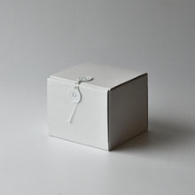 Load image into Gallery viewer, Titanium white glaze Nested Shiboridashi-Kyusu tea set  (Shiko / kiwaha)
